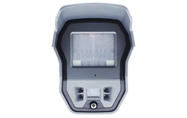 Detection